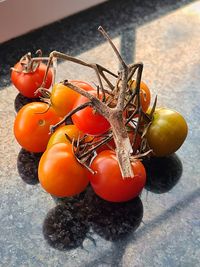 High angle view of tomatoes on table