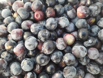 Full frame shot of grapes for sale