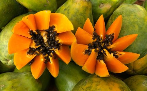 High angle view of orange flower