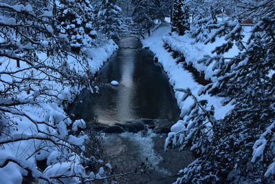 Scenic view of river in forest during winter