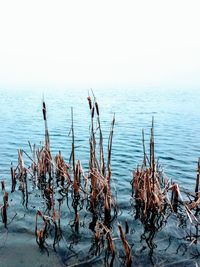 Scenic view of sea against sky during winter