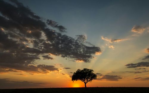 Silhouette trees against dramatic sky during sunset