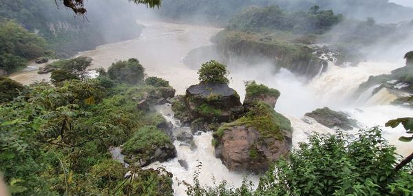 Scenic view of waterfall