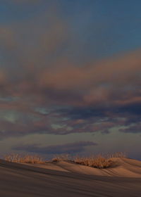 Scenic view of desert against sky during sunset