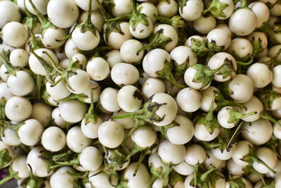 Full frame shot of white vegetables