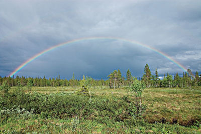 Rainbow over landscape against sky