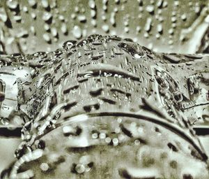 Extreme close up of tree trunk