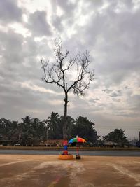 Bare tree by road against sky