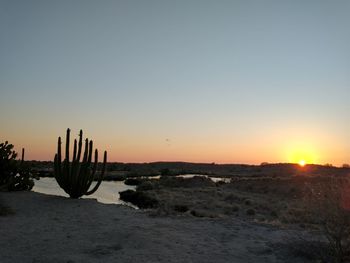 Silhouette wooden posts on beach against clear sky during sunset