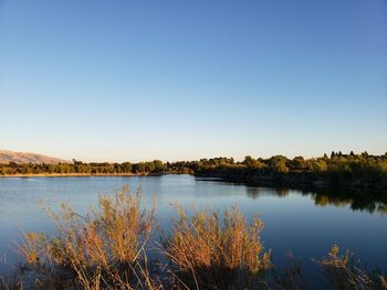 Scenic view of lake against clear blue sky