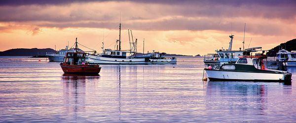 Sailboats moored in sea against sky during sunset