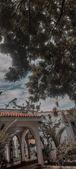 tree
