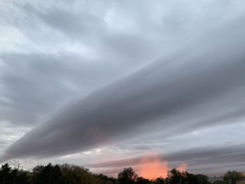 Low angle view of trees against dramatic sky