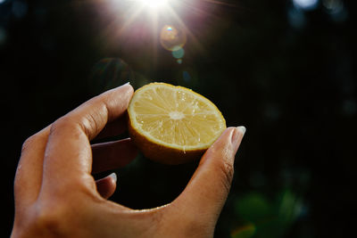 Cropped hand of person holding lemon slice