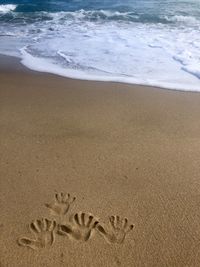 High angle view of footprints on sand at beach