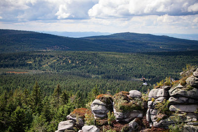 Young man enjoys his freedom of jumping rocks in the jizera mountains in the north of czech republic