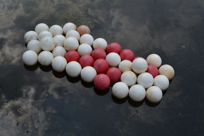 High angle view of eggs in container