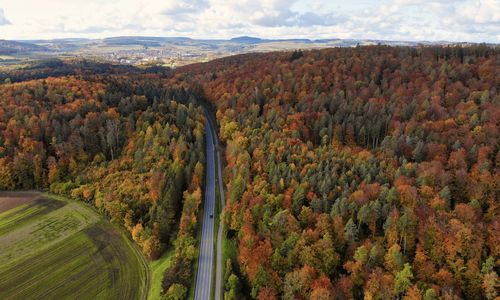 High angle view of trees in forest during autumn