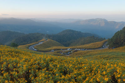 Scenic view of landscape and mountains against sky