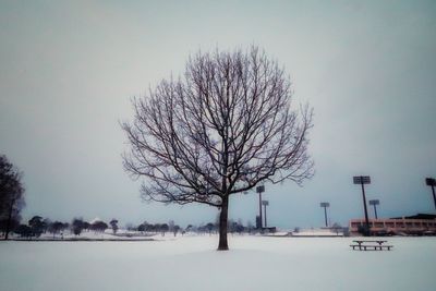 Bare tree on snow covered landscape against sky