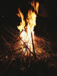 Close-up of bonfire on field at night