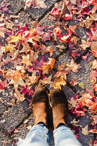 Low section of person standing on autumn leaves