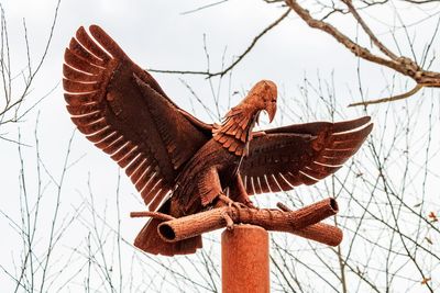 Low angle view of bird against sky