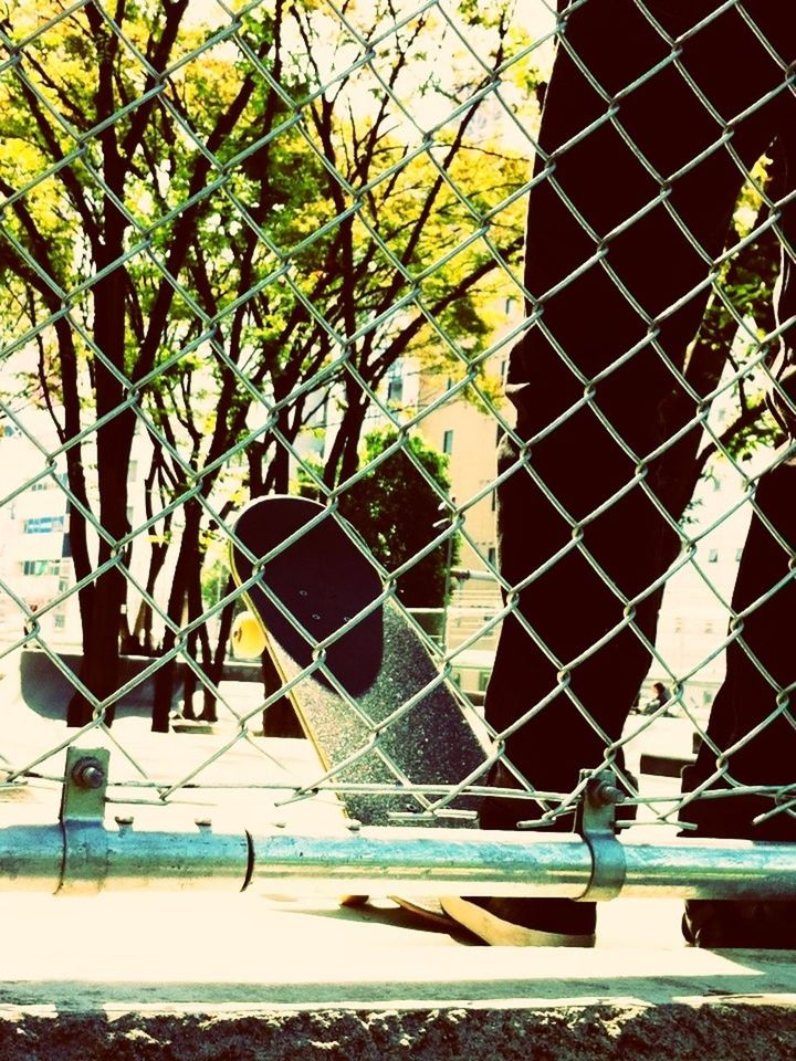 tree, branch, protection, water, built structure, architecture, pattern, building exterior, sunlight, safety, fence, outdoors, day, chainlink fence, nature, growth, no people, metal, glass - material, reflection