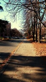 Road by trees in city against sky