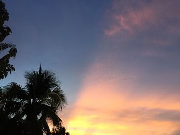 Low angle view of silhouette palm trees against sky