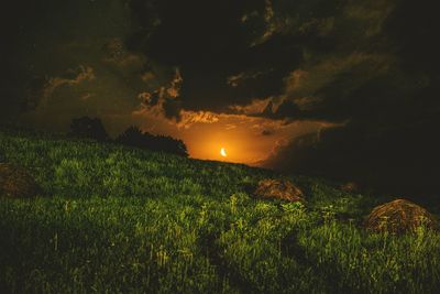 Scenic view of grassy field against sky