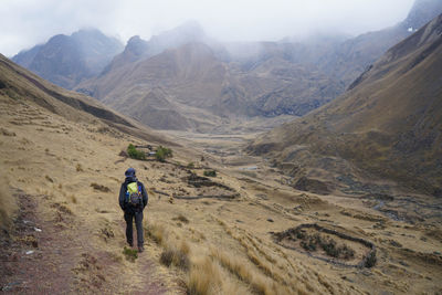 Rear view of man walking on mountain