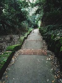 Footpath in park