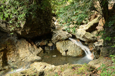 Scenic view of waterfall in forest