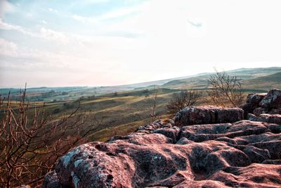 Scenic view of landscape against sky