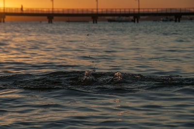 View of swimming in sea