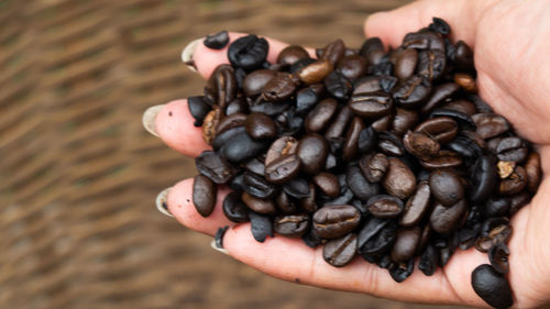 Close-up of hand holding coffee beans