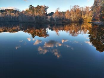 reflection