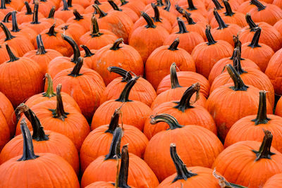 High angle view of pumpkins for sale at market