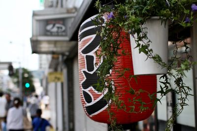 Close-up of lanterns hanging on wall