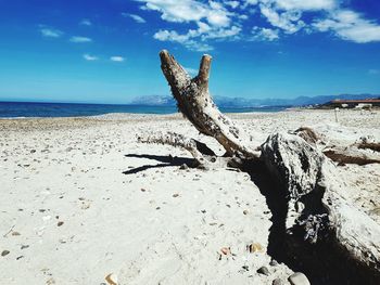 Driftwood on sand at beach against sky