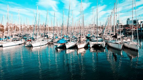 Sailboats moored in harbor