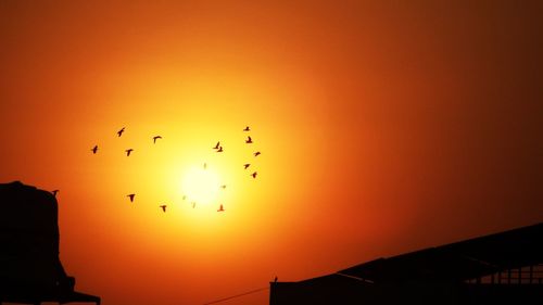 Low angle view of silhouette birds flying against orange sky