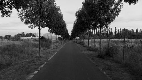 Empty road amidst trees on field against sky