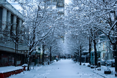 Snow covered buildings in winter