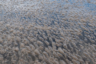 Full frame shot of sea shore