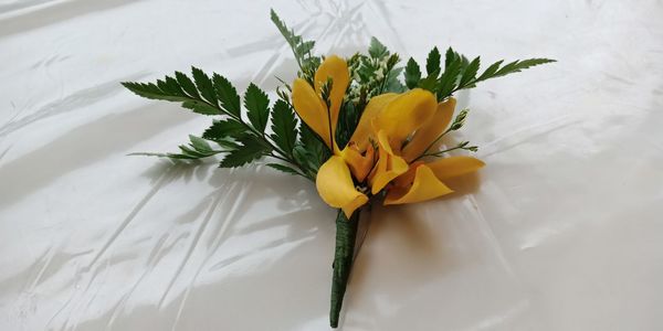 High angle view of yellow flowering plant