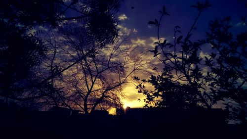 Low angle view of silhouette trees against sky at sunset