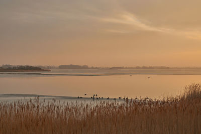 Scenic view of lake against sky during sunset