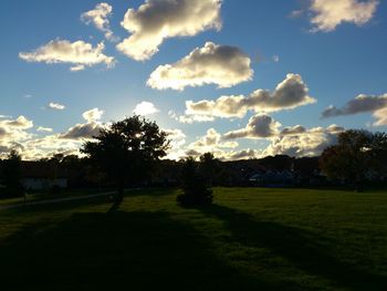 Scenic view of grassy field against sky